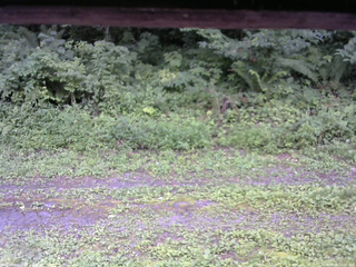 長野県菅平高原 ゆたか山荘 東側(坂下) 2026/08/09 15:00