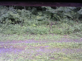 長野県菅平高原 ゆたか山荘 東側(坂下) 2026/08/09 15:15