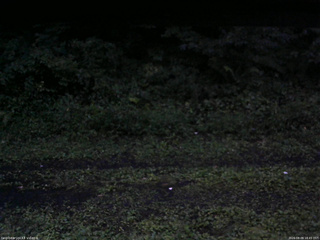 長野県菅平高原 ゆたか山荘 東側(坂下) 2026/08/09 18:45