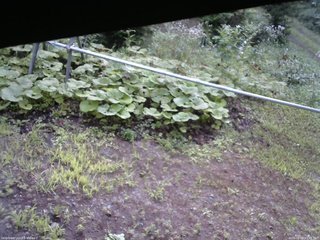 長野県菅平高原 ゆたか山荘 駐車場 2026/08/09 07:15