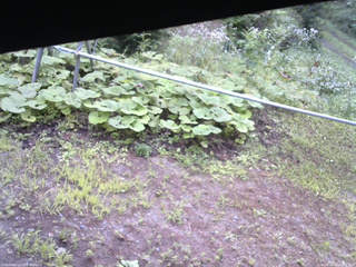 長野県菅平高原 ゆたか山荘 駐車場 2026/08/09 08:00