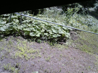 長野県菅平高原 ゆたか山荘 駐車場 2026/08/09 09:15