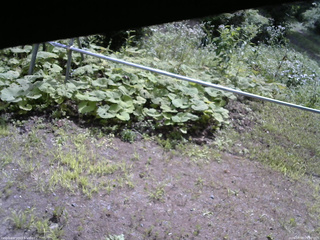 長野県菅平高原 ゆたか山荘 駐車場 2026/08/09 09:30