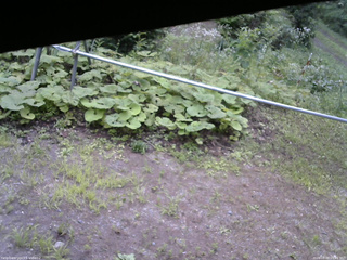 長野県菅平高原 ゆたか山荘 駐車場 2026/08/09 09:45