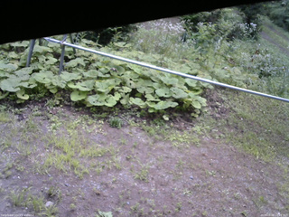 長野県菅平高原 ゆたか山荘 駐車場 2026/08/09 10:15
