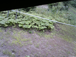 長野県菅平高原 ゆたか山荘 駐車場 2026/08/09 10:30