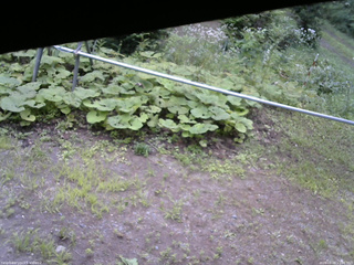 長野県菅平高原 ゆたか山荘 駐車場 2026/08/09 11:00