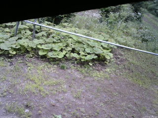 長野県菅平高原 ゆたか山荘 駐車場 2026/08/09 11:30