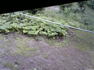 長野県菅平高原 ゆたか山荘 駐車場 2026/08/09 12:00