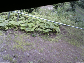 長野県菅平高原 ゆたか山荘 駐車場 2026/08/09 12:15