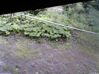 長野県菅平高原 ゆたか山荘 駐車場 2026/08/09 12:30