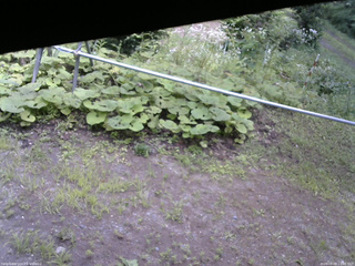 長野県菅平高原 ゆたか山荘 駐車場 2026/08/09 13:00