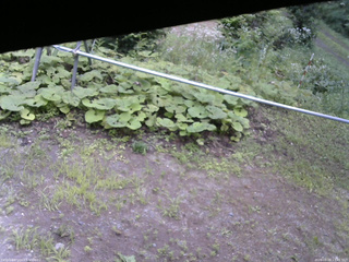 長野県菅平高原 ゆたか山荘 駐車場 2026/08/09 13:45