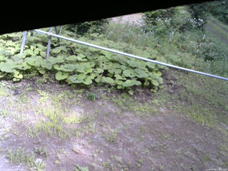 長野県菅平高原 ゆたか山荘 駐車場 2026/08/09 14:00