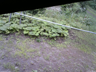 長野県菅平高原 ゆたか山荘 駐車場 2026/08/09 14:15