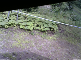 長野県菅平高原 ゆたか山荘 駐車場 2026/08/09 14:30