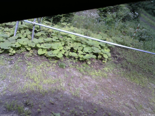 長野県菅平高原 ゆたか山荘 駐車場 2026/08/09 14:45