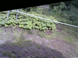長野県菅平高原 ゆたか山荘 駐車場 2026/08/09 15:00
