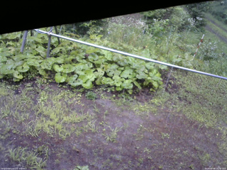 長野県菅平高原 ゆたか山荘 駐車場 2026/08/09 16:30