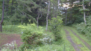長野県菅平高原 ゆたか山荘 坂上 2026/08/09 05:15