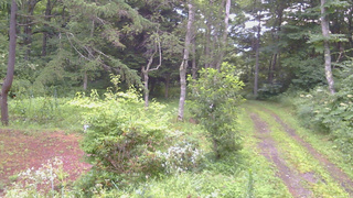 長野県菅平高原 ゆたか山荘 坂上 2026/08/09 05:30