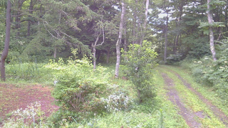 長野県菅平高原 ゆたか山荘 坂上 2026/08/09 05:45