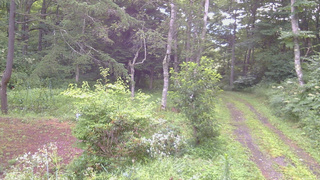 長野県菅平高原 ゆたか山荘 坂上 2026/08/09 06:00