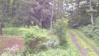 長野県菅平高原 ゆたか山荘 坂上 2026/08/09 06:15