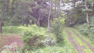 長野県菅平高原 ゆたか山荘 坂上 2026/08/09 06:30