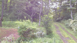 長野県菅平高原 ゆたか山荘 坂上 2026/08/09 06:45