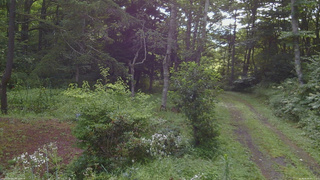 長野県菅平高原 ゆたか山荘 坂上 2026/08/09 07:15