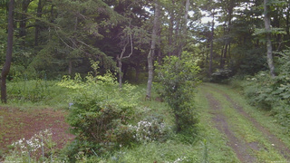 長野県菅平高原 ゆたか山荘 坂上 2026/08/09 07:30