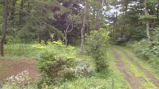 長野県菅平高原 ゆたか山荘 坂上 2026/08/09 07:45
