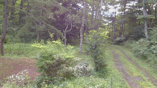 長野県菅平高原 ゆたか山荘 坂上 2026/08/09 08:00