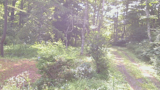 長野県菅平高原 ゆたか山荘 坂上 2026/08/09 08:15