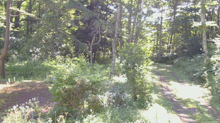 長野県菅平高原 ゆたか山荘 坂上 2026/08/09 08:30