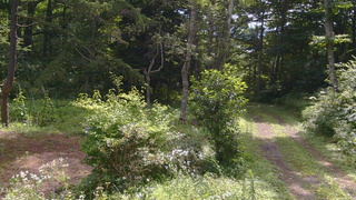 長野県菅平高原 ゆたか山荘 坂上 2026/08/09 09:30