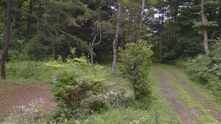 長野県菅平高原 ゆたか山荘 坂上 2026/08/09 09:45