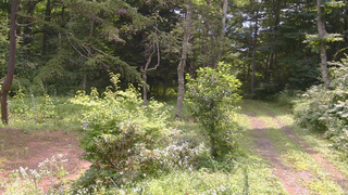 長野県菅平高原 ゆたか山荘 坂上 2026/08/09 10:00