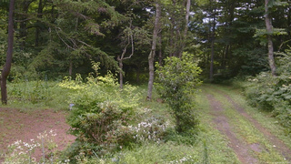 長野県菅平高原 ゆたか山荘 坂上 2026/08/09 10:15