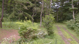 長野県菅平高原 ゆたか山荘 坂上 2026/08/09 10:30