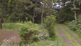長野県菅平高原 ゆたか山荘 坂上 2026/08/09 10:45