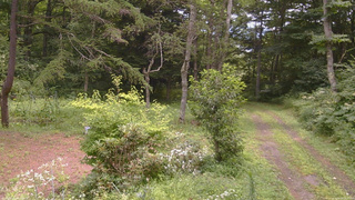 長野県菅平高原 ゆたか山荘 坂上 2026/08/09 11:30