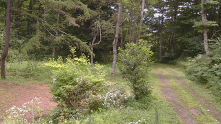 長野県菅平高原 ゆたか山荘 坂上 2026/08/09 11:45