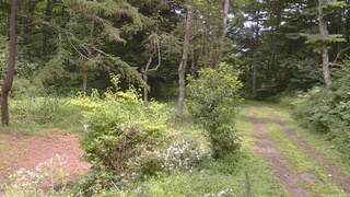 長野県菅平高原 ゆたか山荘 坂上 2026/08/09 12:00