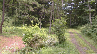 長野県菅平高原 ゆたか山荘 坂上 2026/08/09 12:15
