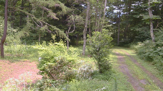 長野県菅平高原 ゆたか山荘 坂上 2026/08/09 12:30