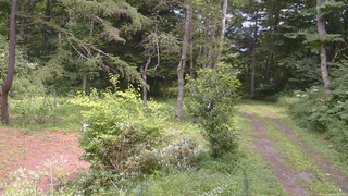 長野県菅平高原 ゆたか山荘 坂上 2026/08/09 12:45