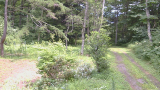長野県菅平高原 ゆたか山荘 坂上 2026/08/09 13:00