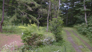 長野県菅平高原 ゆたか山荘 坂上 2026/08/09 13:15